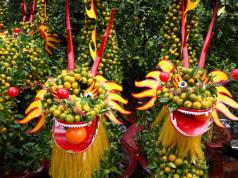 Новый год во вьетнаме погода, традиции, нячанг, фукуок, отдых, отзывы Что дарят на вьетнамский новый год